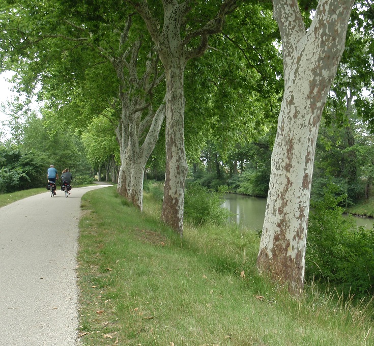 Cyclists approaching Pont de Donneville, Midi Canal