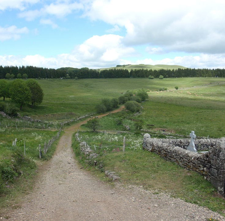 The GR 65 Chemin de Saint-Jacques passing through green rolling hills and gentle pastures