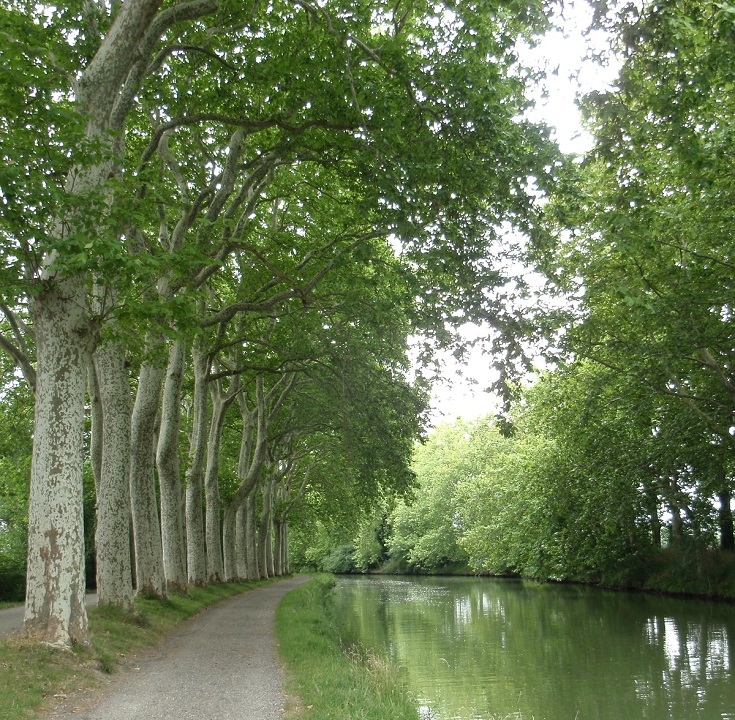 Between Écluse de Castanet and Écluse de Vic, Midi Canal, France