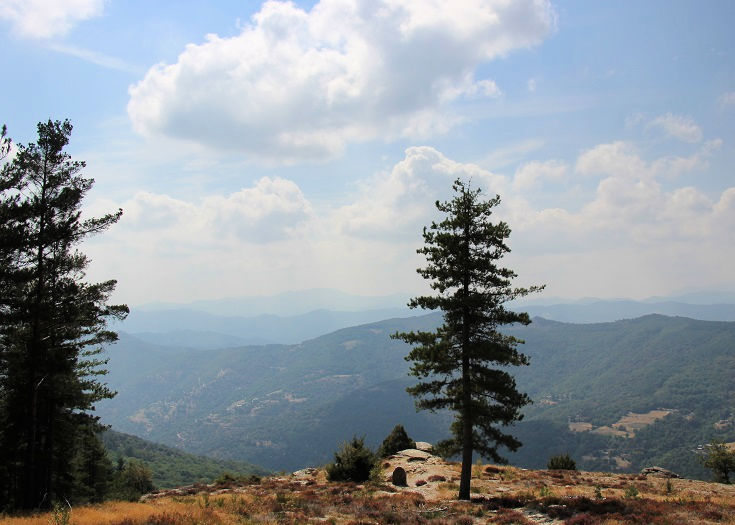 Views out onto a forested ridge in the Cévennes National Park