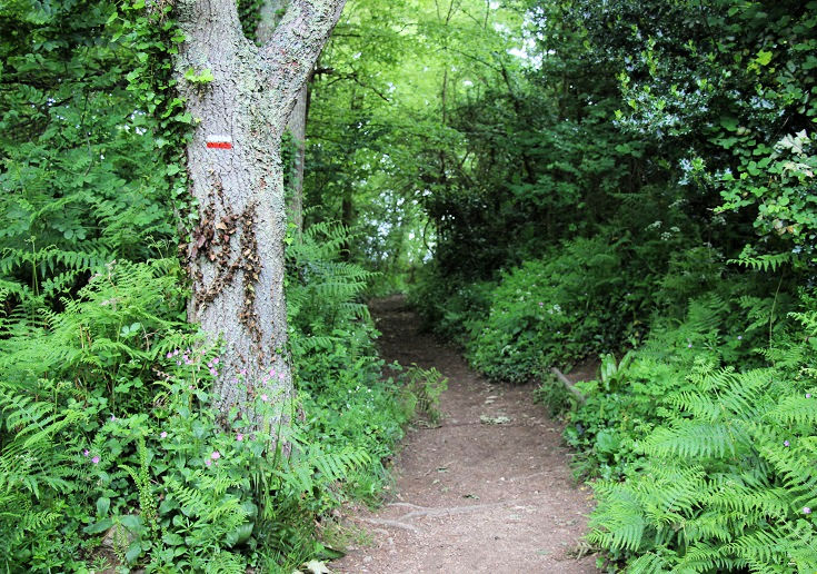 GR 34 path through the woods approaching Douarnenez, France