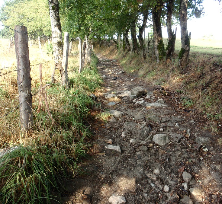 Rocky, muddy path near Espeyrac, GR 65