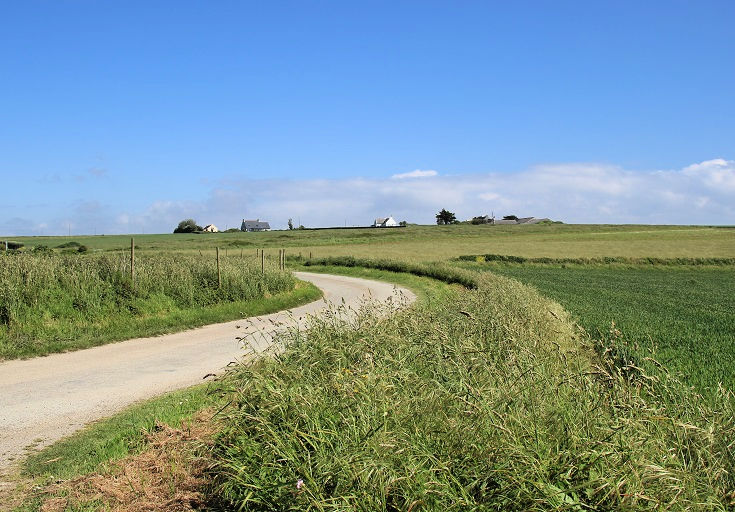 Road to Chapelle Sainte-Anne passes through fields of grass