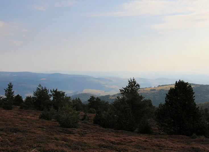View from the Col de Finiels of distant ridges covered in deep blue-green forests